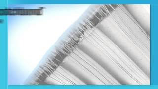 Henry Schein UK - 3M ESPE Scotchbond™ Universal Adhesive Introduction Video