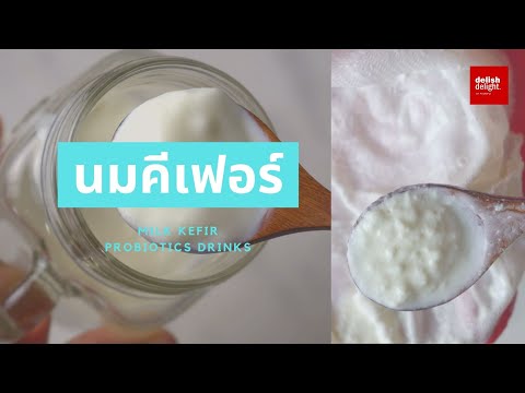 MILK KEFIR | นมคีเฟอร์ เครื่องดื่มโปรไบโอติก ช่วยระบบย่อยและเสริมสร้างภูมิคุ้มกันให้ร่างกายแข็งแรง