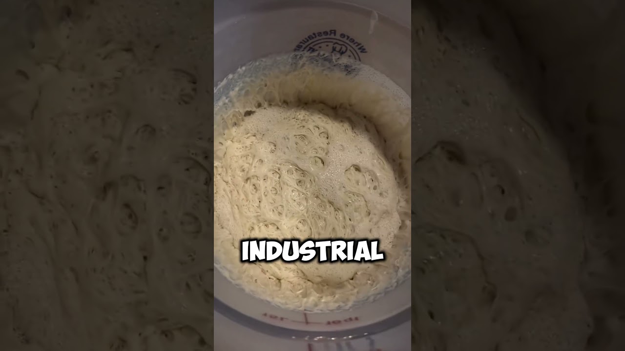 Why sourdough is technically alive 🧠