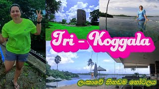 Tri Koggala, Sri lanka | Galle  යන්නම ඕන තැනක් 👌💕|Luxury Hotel in Sri Lanka | 2023 4K #theshadowsl Information