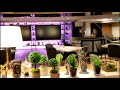 良師塾人文食飲x花雅集decoration design