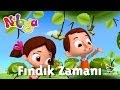 Niloya -  Fındık Zamanı