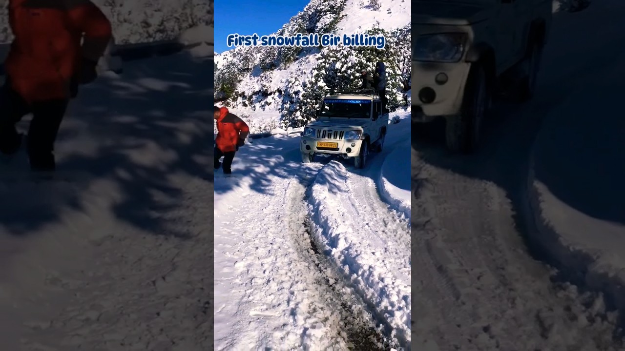 OMG 😱😳 again snowfall in bir Billing 