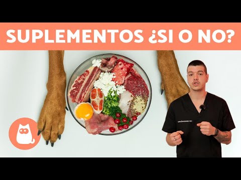 Video: ¿Cuáles son las causas de la miositis canina?