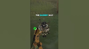 The EASIEST Way to Take Down Lynels in Tears of the Kingdom! 😈 #zelda #totk #totktips #lynel