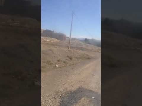 الذهاب الى موسم الخطوبة