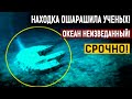 ЗАГАДОЧНЫЕ ОБЪЕКТЫ НЕЗЕМНОГО ПРОИСХОЖДЕНИЯ НА ДНЕ ОКЕАНА! (01.07.2020) ДОКУМЕНТАЛЬНЫЙ ФИЛЬМ HD