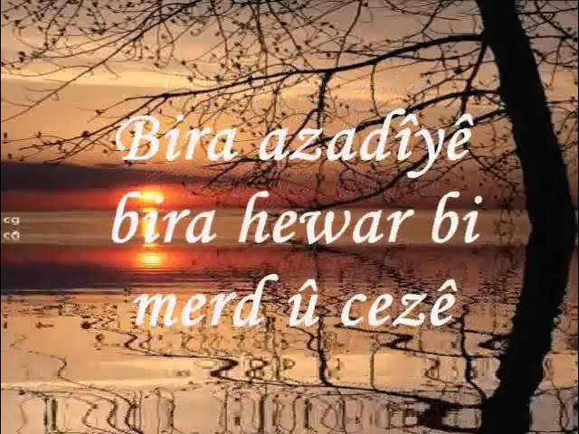 Bir qizga porno sumkalarini olib yurishga yordam berdi Uz talaba sex ru