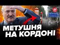 У Білорусі оголосили КОНТРТЕРОРИСТИЧНУ операцію / Провокація чи навчання?