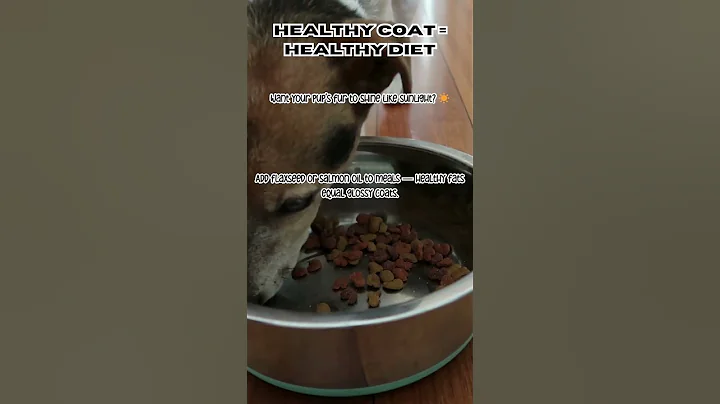 #DogHealth #HomesteadDogs #NaturalNutrition #HealthyPets