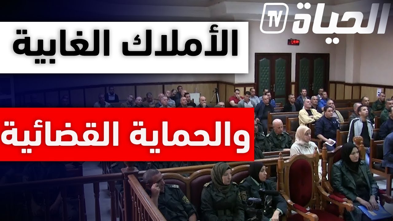 سكيكدة: مجلس القضاء ينظم يوم دراسي حول الأملاك الغابية والحماية القضائية