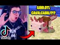 10 TIKTOK *SEGRETI* DA USARE SU MINECRAFT 1.17!!