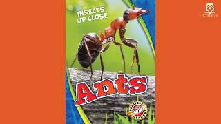 Ants (Insects Up Close), by Patrick Perish | 2017