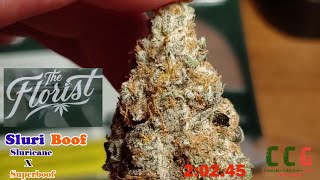 The Florist - Sluriboof - OCS - 5 Min Review 