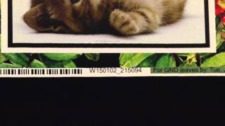 CatPrint Printing Production Walkthrough