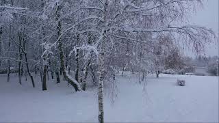 Зима в городе Барановичи / Winter in the city of Baranovichi