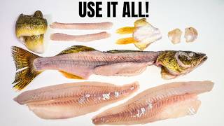 Stop Throwing Away Half Your Walleye!