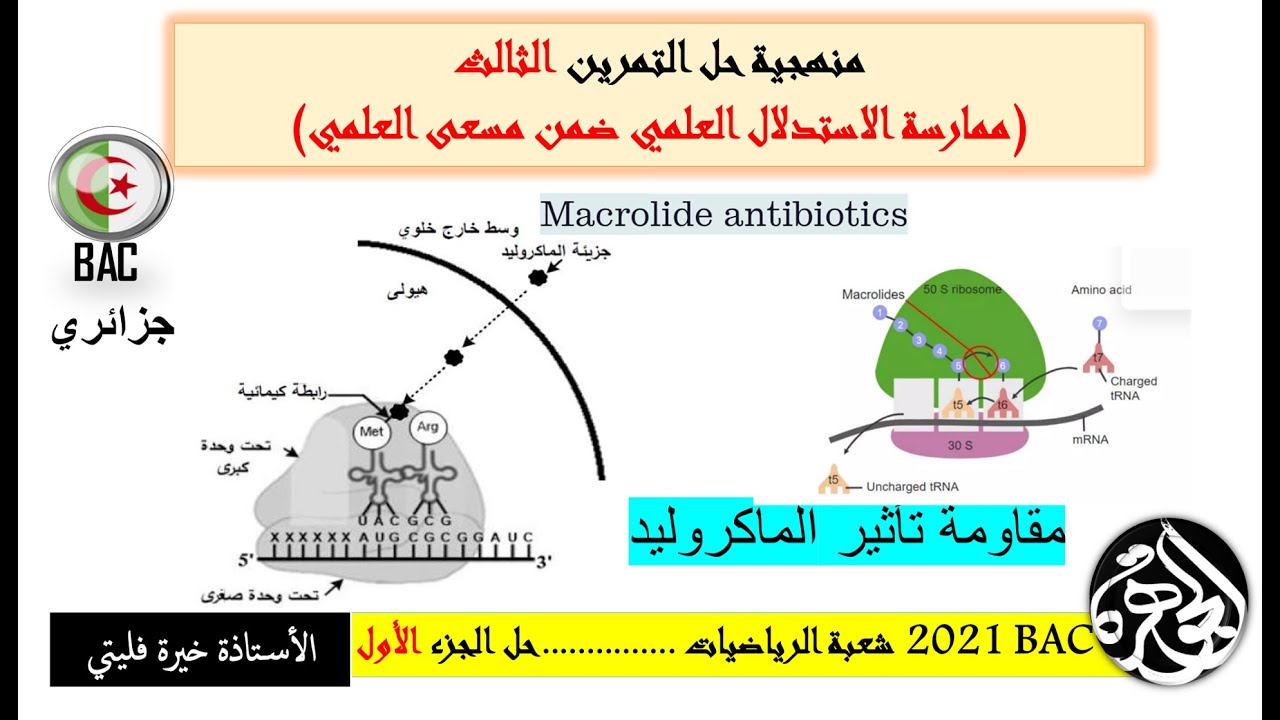 حل الجزء الاول من تمرين الماكروليدباك 2021 شعبة الرياضيات