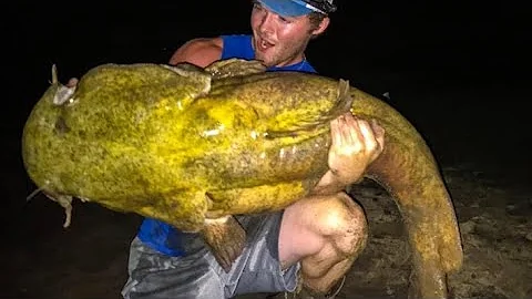 Epic 70+ pound GIANT FLATHEAD!!! (Epic scale breaker!)