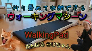 【WalkingPad】収納&折り畳み式 のウォーキングマシン