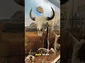 Veterinarian Visits the Museum of Osteology