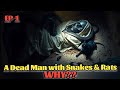 A Dead Man With Snakes And Rats, Why? | True Stories Of Dead People Series | Divine Origins