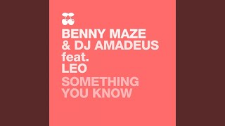 Something You Know (Richard Grey Remix)