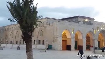 سورة الغاشية - تلاوة هادئة خاشعة - القارئ محمد غوشة  Suret Al-Ghashiya