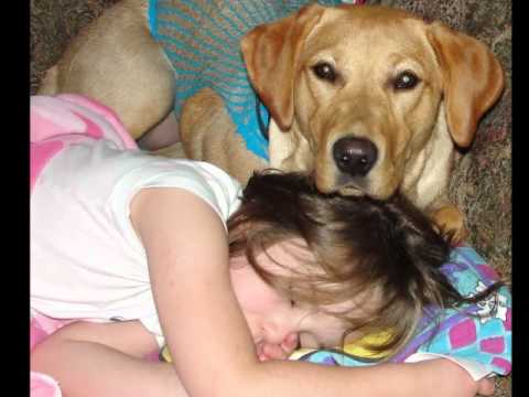 Abbie and Gracie.... Diabetic Alert Dog DAD