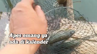 Babe Raben Kamal Dam Fishing Miami