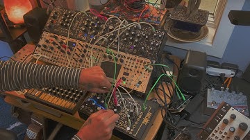 Intellijel Plonk Rules