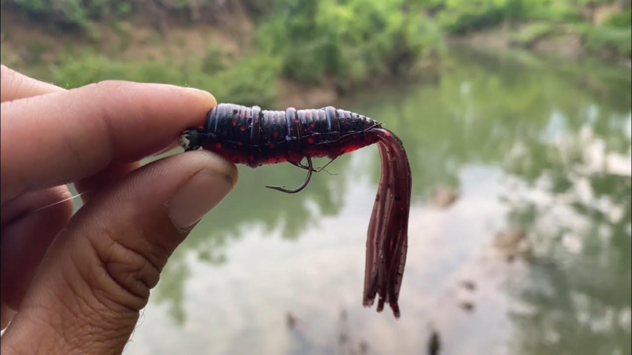 best fly fishing landing net The Best Fly Fishing Nets