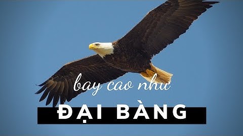 Bay Cao Như Đại Bàng | Mục sư Ngô Minh Hòa (01-05-2020)