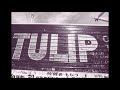 TULIP イントロベスト50