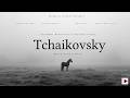 The Most Beautiful Classical Pieces By Tchaikovsky Best Classical Music 