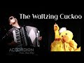 The waltzing cuckoo accordion