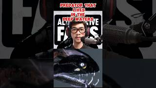 predator  in the deep waters #predator #deepwater #facts #alternativefactsph #history