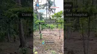 വയനാട് കോളേരിയിൽ 50 സെന്റ് കാർഷിക ഭൂമി വിൽപ്പനയ്ക്ക് #wayanad #housenlands #malayalam #home #house