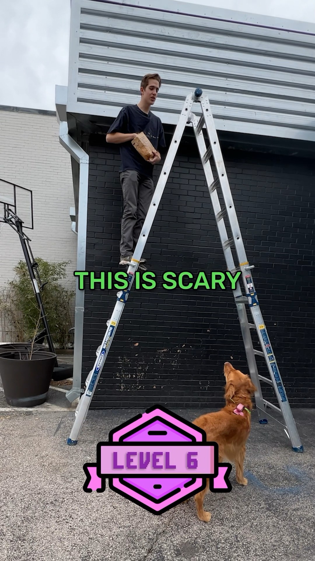 How high can you catch it?