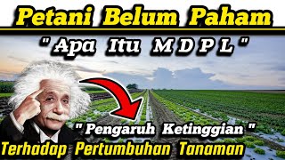 💥 80% of Our Farmers Don't Understand MDPL 💥 The Effect of Altitude on Agricultural Plant Growth ✅