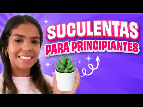 5 tips para cuidar tus SUCULENTAS | Vicky's Hacks
