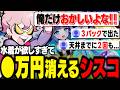 視聴者とのガチャ結果の差に絶望するシスコ【シャドバWB/ふらんしすこ/切り抜き】