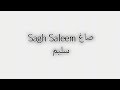 Sagh Saleem Speed Up 