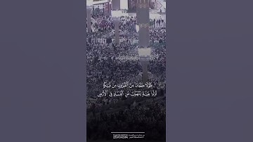 ترتيل خاشع من خواتيم سورة هود | #عبدالله_القرافي صلاة العشاء ١٩ ذو القعده ١٤٤٦
