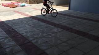 Bibioğlu Qan Eliyir