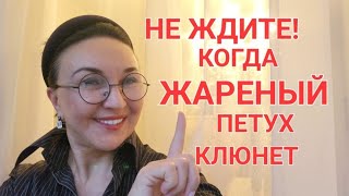 Посиделки. Не ждите,когда жареный петух клюнет🙉😱