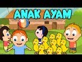 Lagu Kanak Kanak Melayu Malaysia - ANAK AYAM - TEK KOTEK