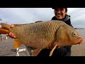 PESCA Y DEVOLUCIÓN DE CARPAS EN EL RIO DE LA PLATA! CARPÓN! MIRÁ ESTOS ENCARNES! LLEGÓ EL INVIERNO