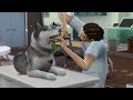 AB ZUM TIERARZT #01 DIE SIMS 4 - HUNDE UND KATZEN - Let's Play The Sims