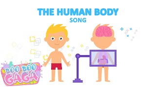 Video thumbnail of "The Human Body Song/Anatomy for Kids by Boo Boo Gaga #booboogaga"